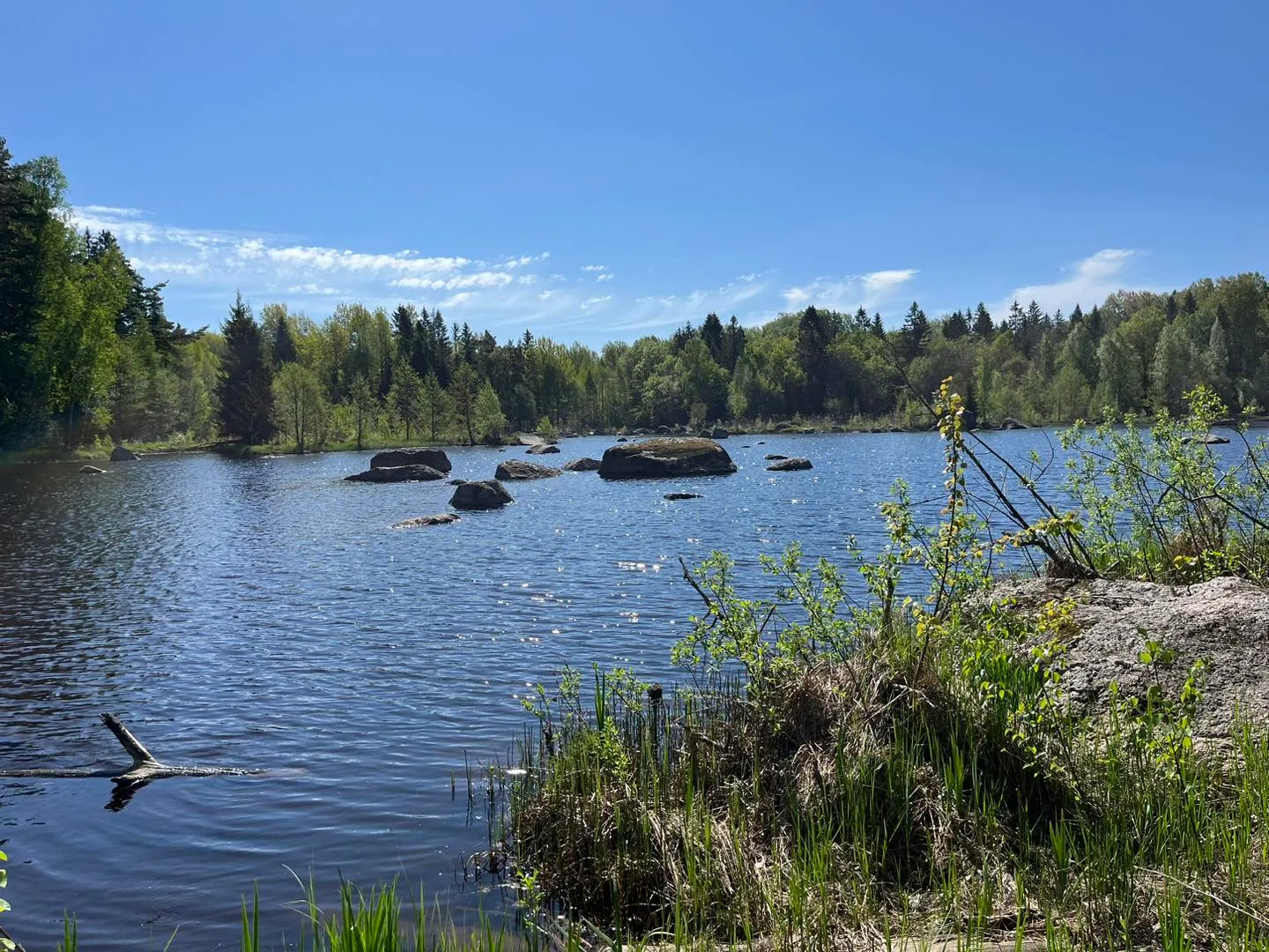 Dalälven vid Bredforsens naturreservat under en klar vårdag.